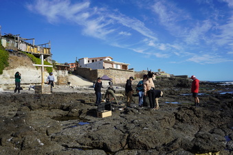 Enlarge photo 2