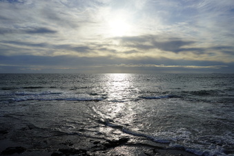 Enlarge photo 56