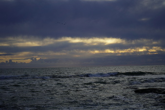 Enlarge photo 97