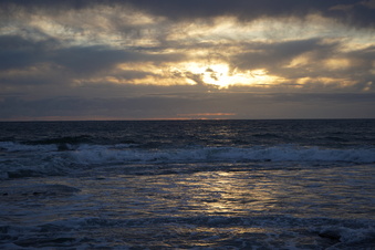 Enlarge photo 134