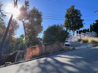 Enlarge photo 33