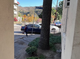 Enlarge photo 48