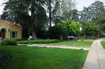 Enlarge photo 10