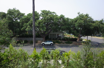 Enlarge photo 18
