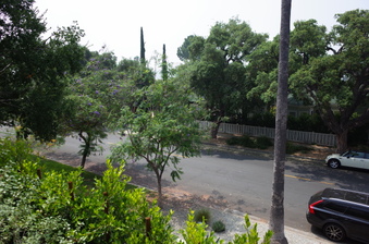 Enlarge photo 19