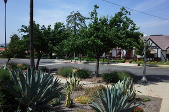 Enlarge photo 6