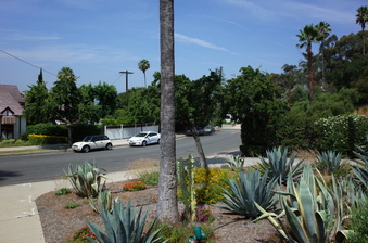 Enlarge photo 7
