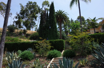 Enlarge photo 21