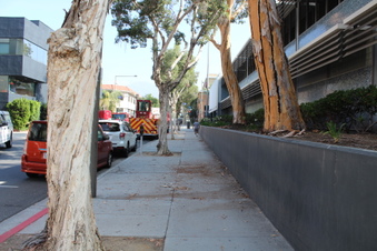 Enlarge photo 11