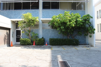 Enlarge photo 26
