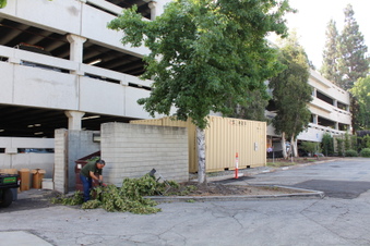 Enlarge photo 31