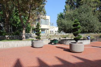 Enlarge photo 23