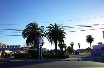 Enlarge photo 33