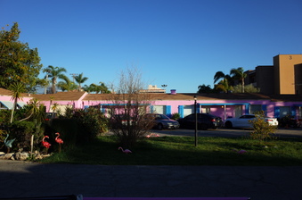 Enlarge photo 38