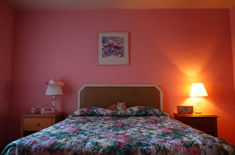Enlarge photo 59