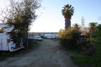 Enlarge photo 85