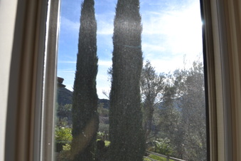 Enlarge photo 16
