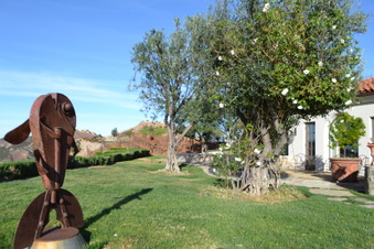 Enlarge photo 46