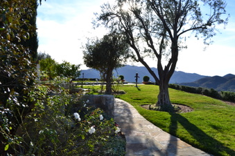 Enlarge photo 48