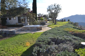 Enlarge photo 49
