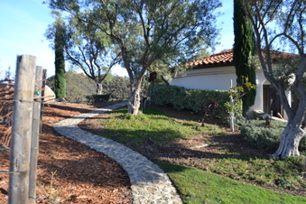 Enlarge photo 50