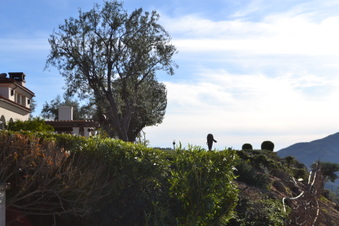 Enlarge photo 51