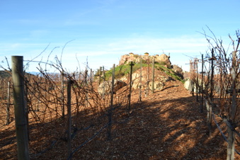 Enlarge photo 53
