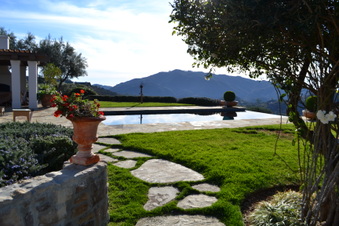 Enlarge photo 55
