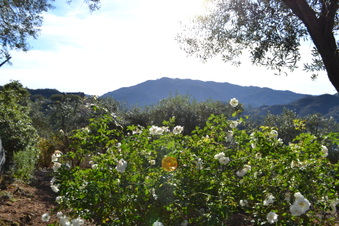 Enlarge photo 56