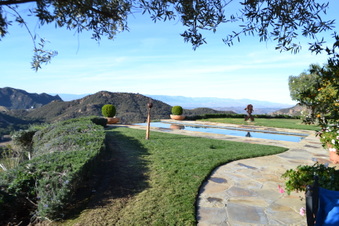 Enlarge photo 57