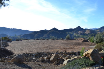Enlarge photo 58