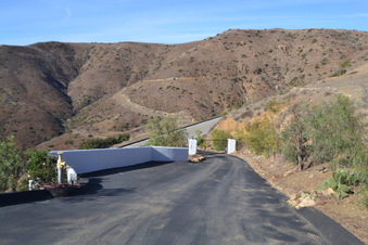 Enlarge photo 57