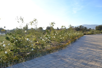 Enlarge photo 2