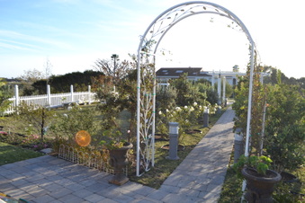 Enlarge photo 3