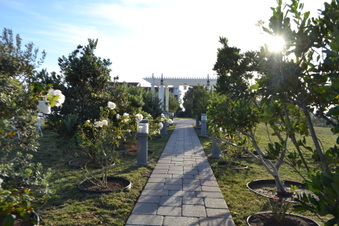 Enlarge photo 4