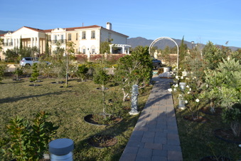 Enlarge photo 5