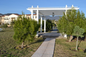 Enlarge photo 7