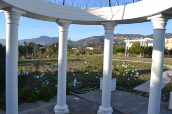 Enlarge photo 10