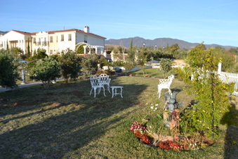 Enlarge photo 11
