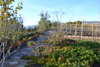 Enlarge photo 15