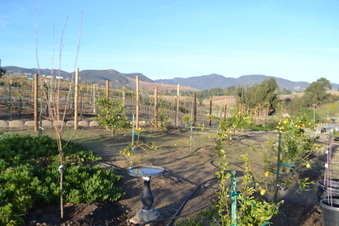 Enlarge photo 16
