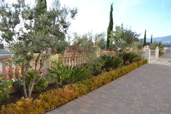 Enlarge photo 18