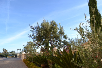 Enlarge photo 20