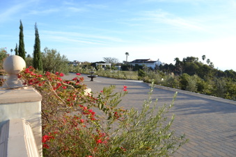 Enlarge photo 24
