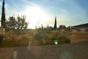 Enlarge photo 45