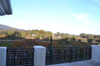 Enlarge photo 70