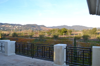 Enlarge photo 75