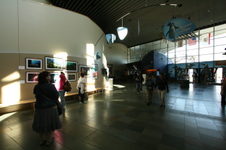 Enlarge photo 16