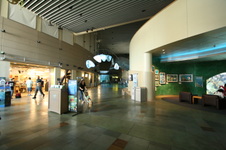 Enlarge photo 17