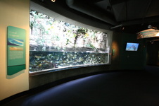 Enlarge photo 20